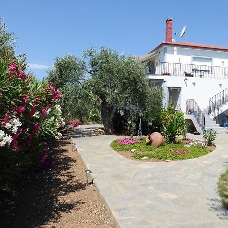 Studios Oleander Λιμενάρια Εξωτερικό φωτογραφία
